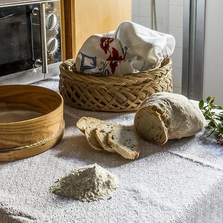 Apartamento The Olive Tree House Lisboa