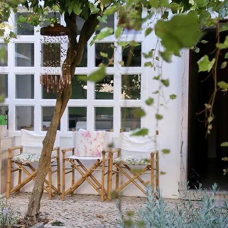 The Olive Tree House *