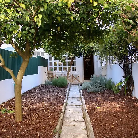 The Olive Tree House *