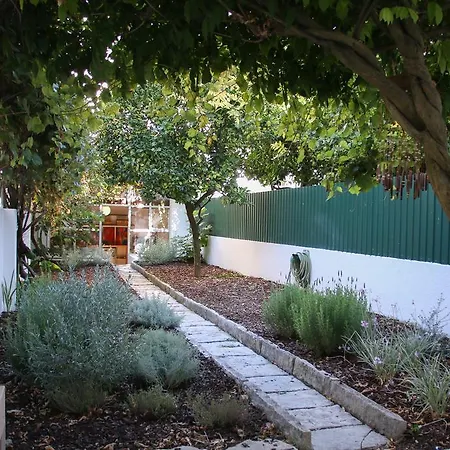 The Olive Tree House