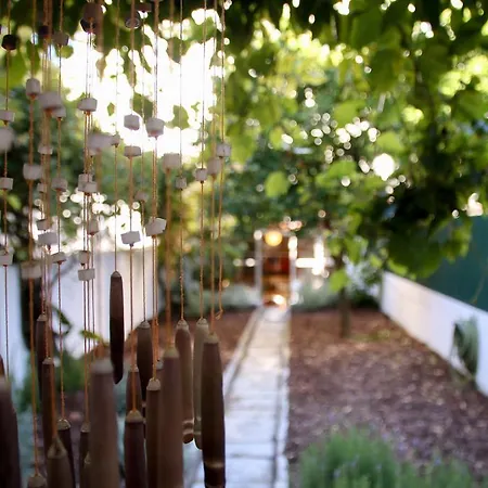 Appartement The Olive Tree House
