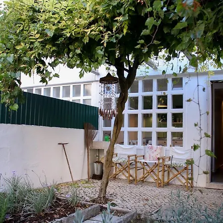 The Olive Tree House *